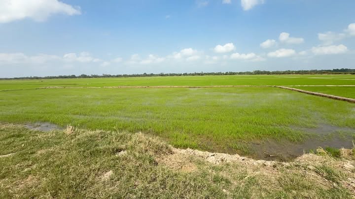 Bán gấp FrontHouse 123m² mặt tiền đường Đan Dài, xã An Ninh chỉ 3.075 tỷ