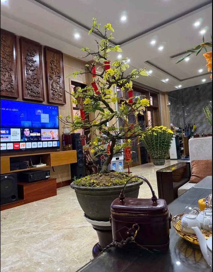 Nhà bán 90m² tại Tuy Hòa, Phú Yên giá 4.9 tỷ - Nội thất cao cấp, vào ở ngay!