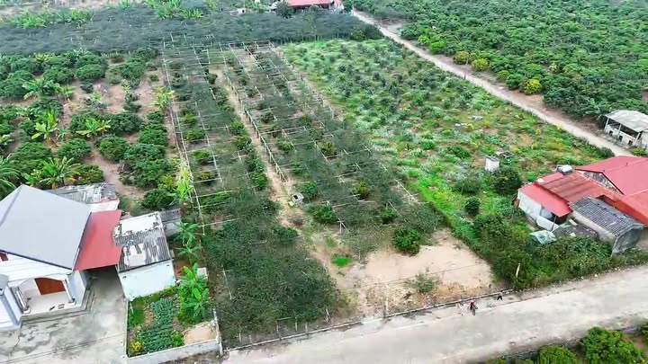 Đất nền Tân Lập - Lục Ngạn 2420m² giá 1 tỷ - Cơ hội đầu tư tuyệt vời!