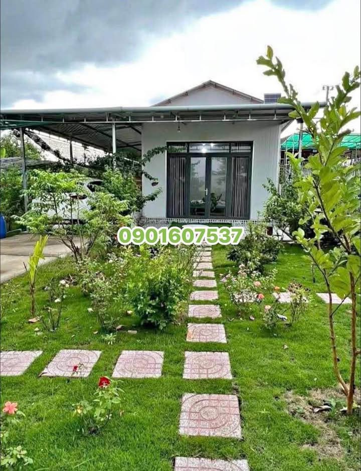 Nhà vườn 1000m² tại Minh Hưng, Chơn Thành giá 180 triệu - Đầu tư lý tưởng!