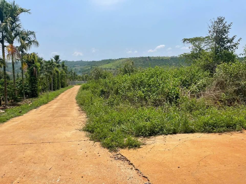 Đất nền tổ 3 Nghĩa Đức 520m² giá 3.38 tỷ - Tiềm năng phát triển lớn!