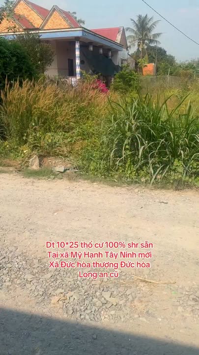 Đất thổ cư 100% xã Mỹ Hạnh, Đức Hòa, Long An 250m² giá 1.8 tỷ - Đầu tư sinh lời!