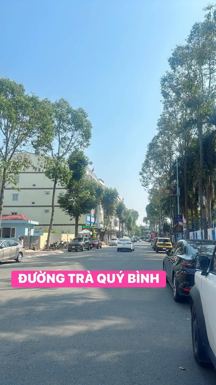 Đất nền mặt tiền đường Trà Quý Bình, Tân An, 75m² - Vị trí đắc địa cho kinh doanh!
