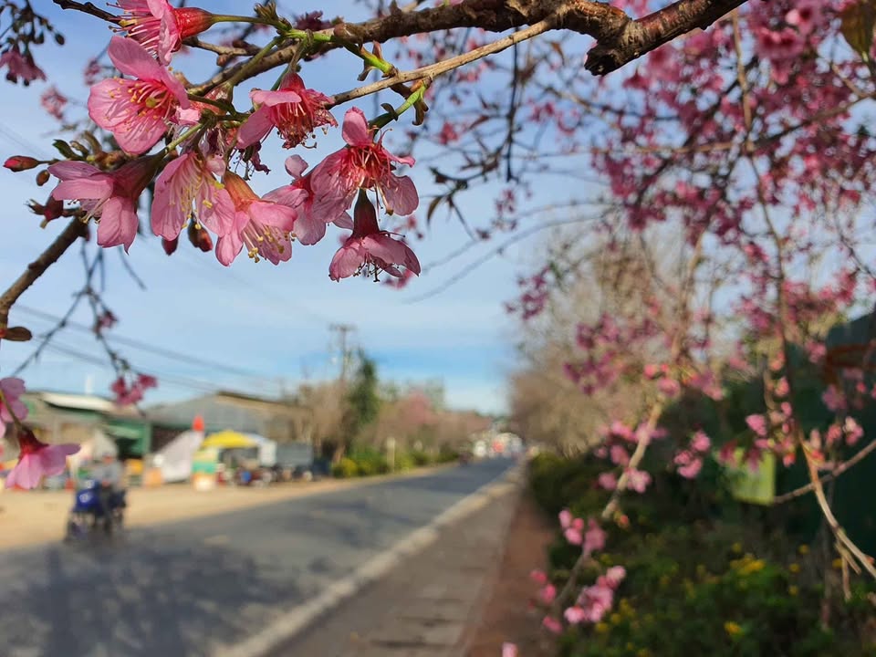 Đất nền Huyện Lâm Hà 268m² giá 850 triệu - Đầu tư sinh lời ngay!