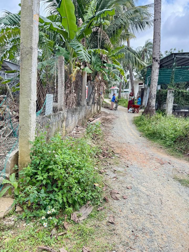 Đất thổ cư 135m² khu phố 9 Tam Quan, giá thỏa thuận - Cơ hội đầu tư hấp dẫn!