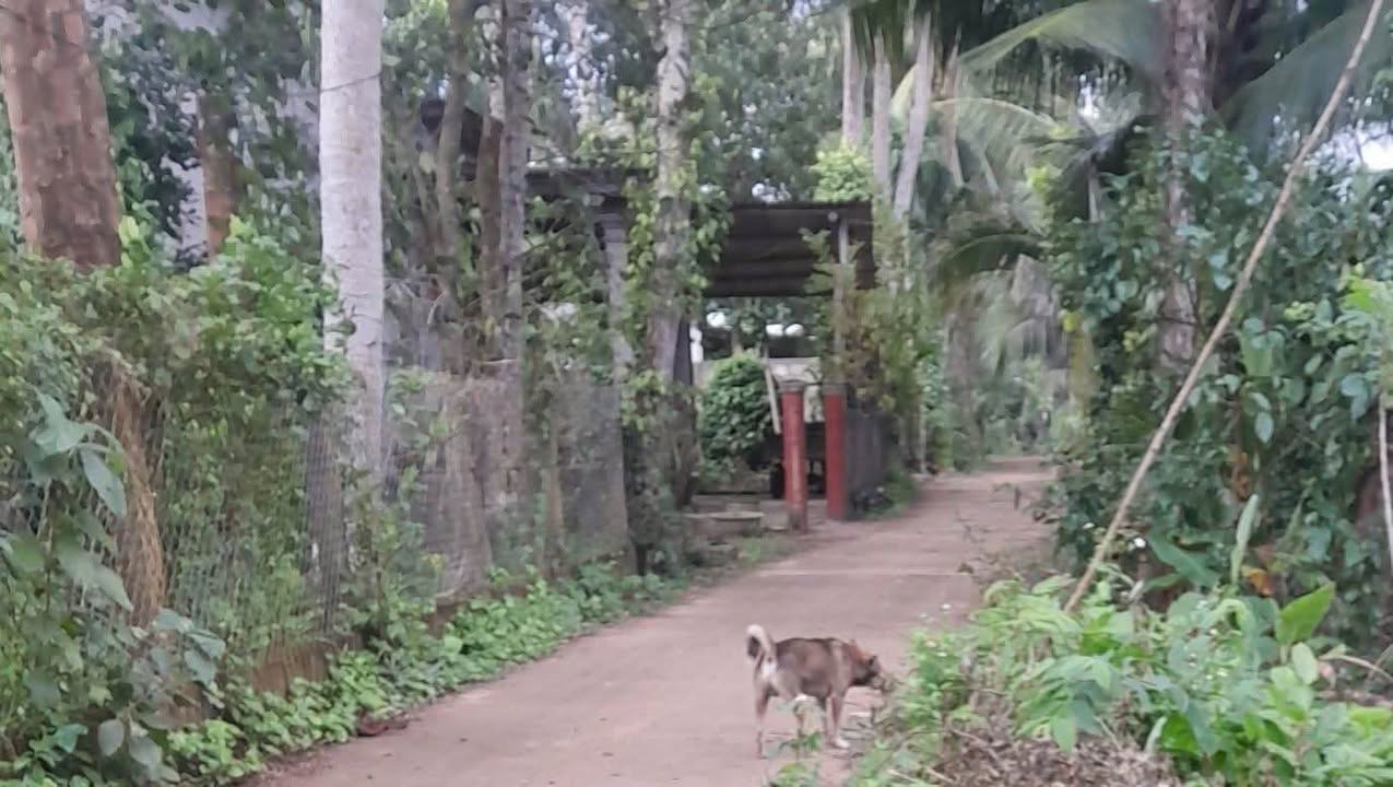 Đất nền 99m² tại Tăng Long 2, Hoài Nhơn - Giá chỉ 3xx triệu, sổ đỏ chính chủ!