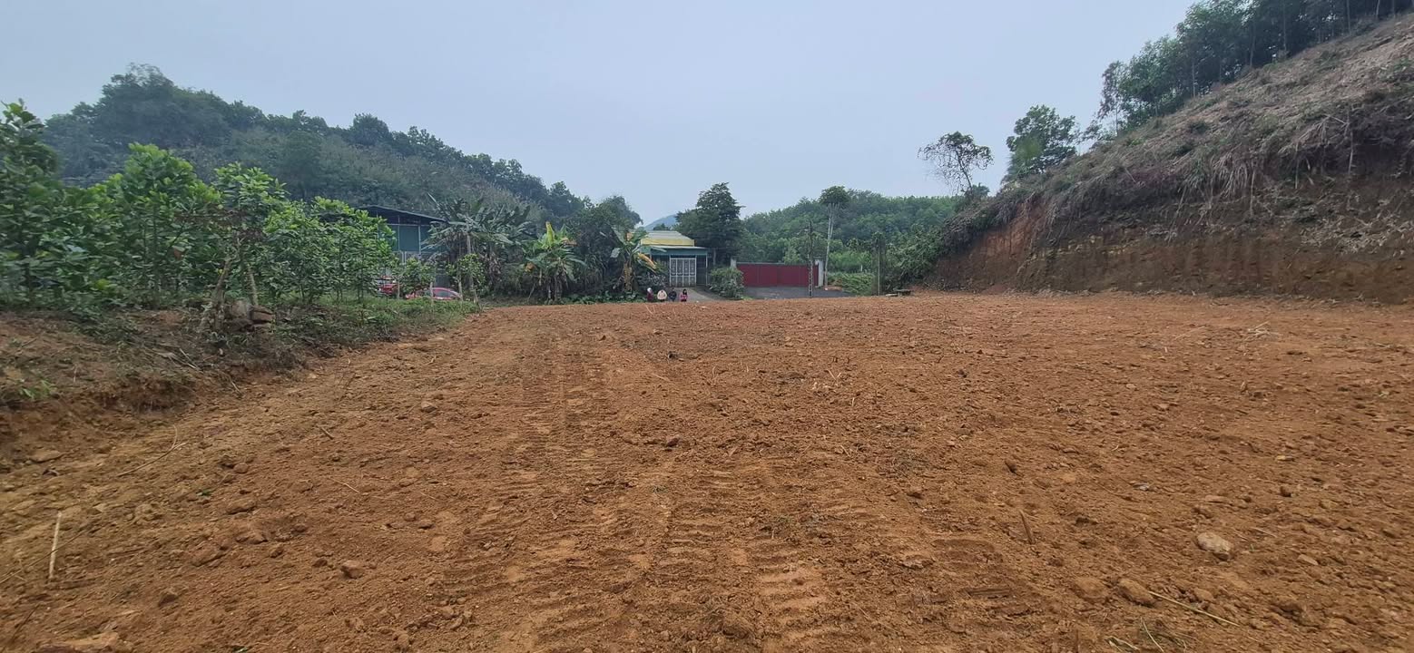 Đất nền Phường Yên Bình, Thành phố Lào Cai 100m² giá 580 triệu - Cơ hội đầu tư hấp dẫn!