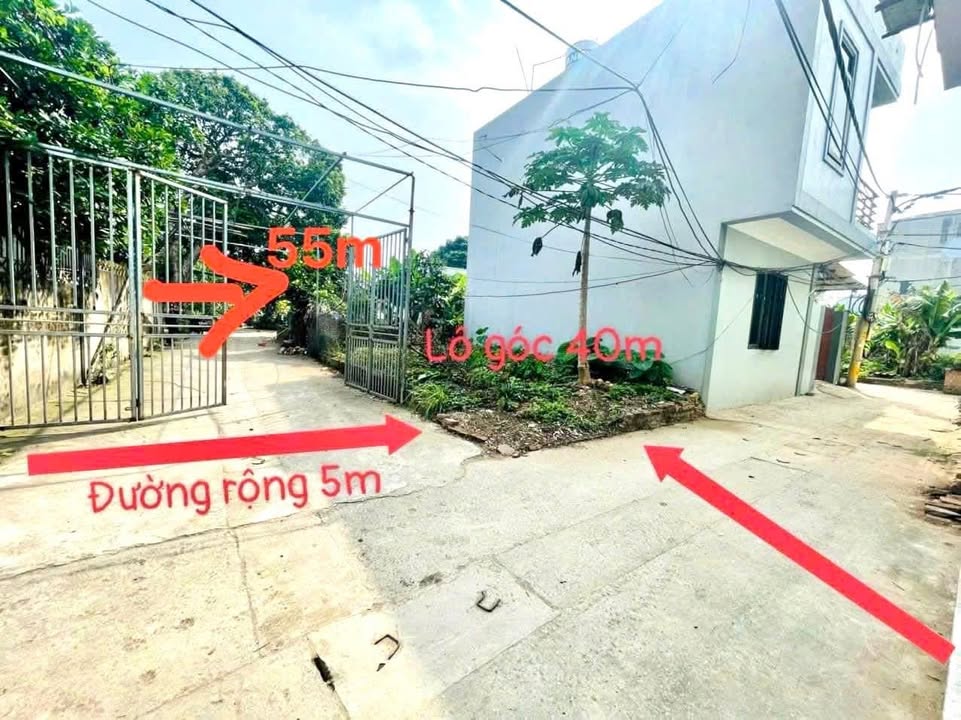 Bán lô đất thổ cư 55m² tại xã Sơn Đồng, Hoài Đức - Cơ hội đầu tư hấp dẫn!