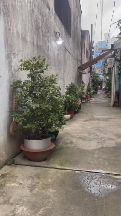 Nhà phố Tân Phú 55m² giá 4 tỷ - Vị trí đắc địa gần Đầm Sen!