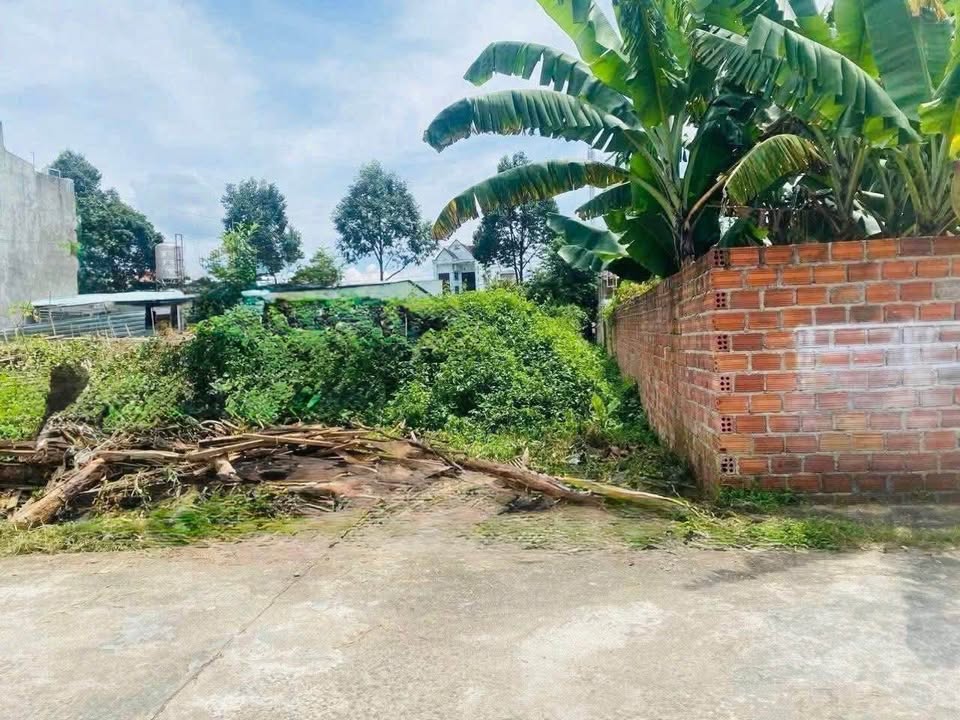 Đất nền liền kề Bế Văn Đàn, Phường Trường Chinh 200m² - Vị trí trung tâm, giá chỉ 1 tỷ!