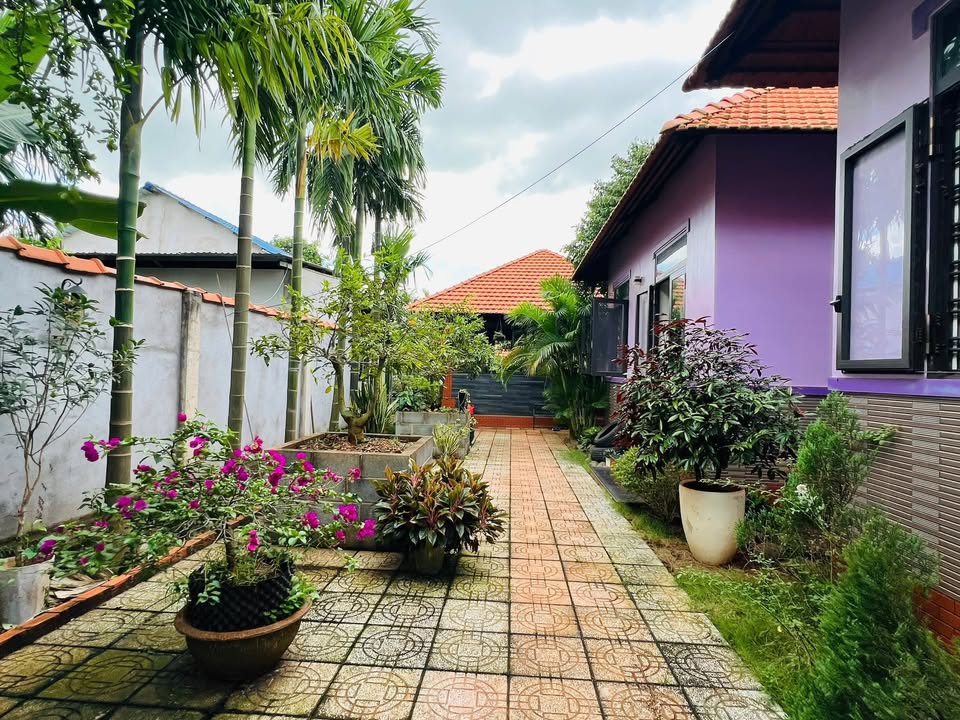 Nhà vườn 563m² xã Láng Dài - Bà Rịa - Vũng Tàu giá 3.8 tỷ - Sổ hồng chính chủ!