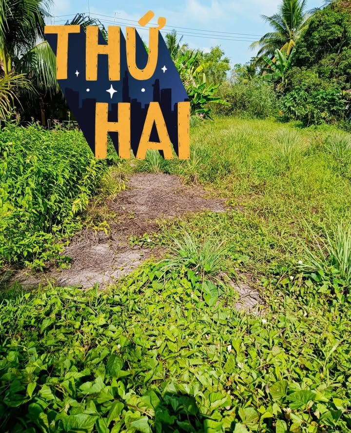 Đất nền Ấp Tàu Hơi A, Thạnh Trị, Tân Hiệp 1281m² giá 1.281 tỷ - Pháp lý rõ ràng, thương lượng tốt!