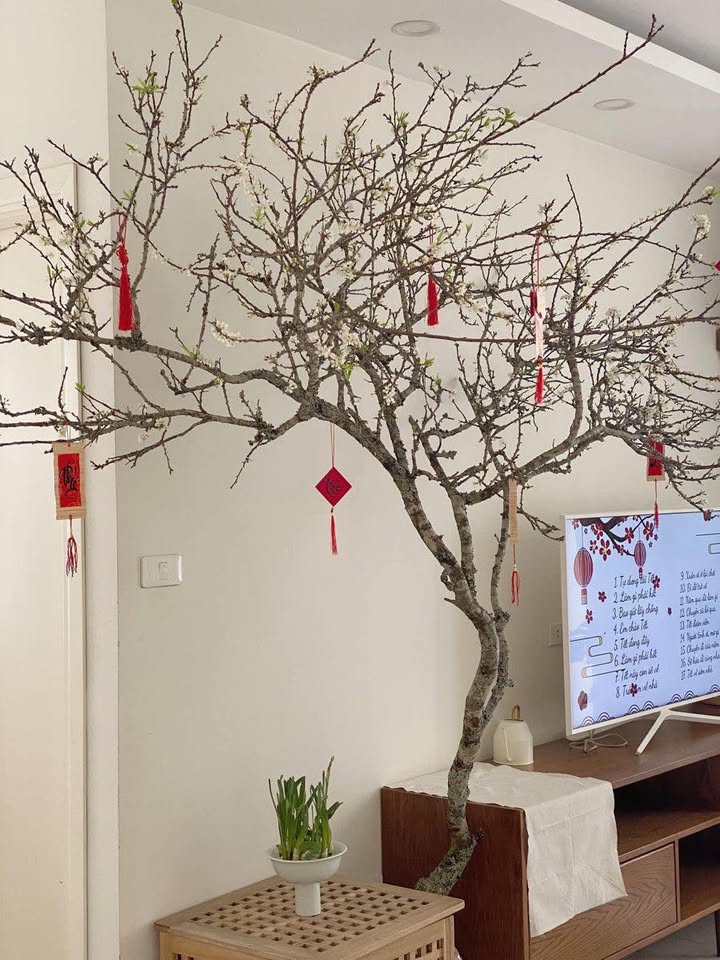 Căn hộ Vinhomes Central Park Bình Thạnh 80m² giá 10.6 tỷ - Giá tốt nhất thị trường!