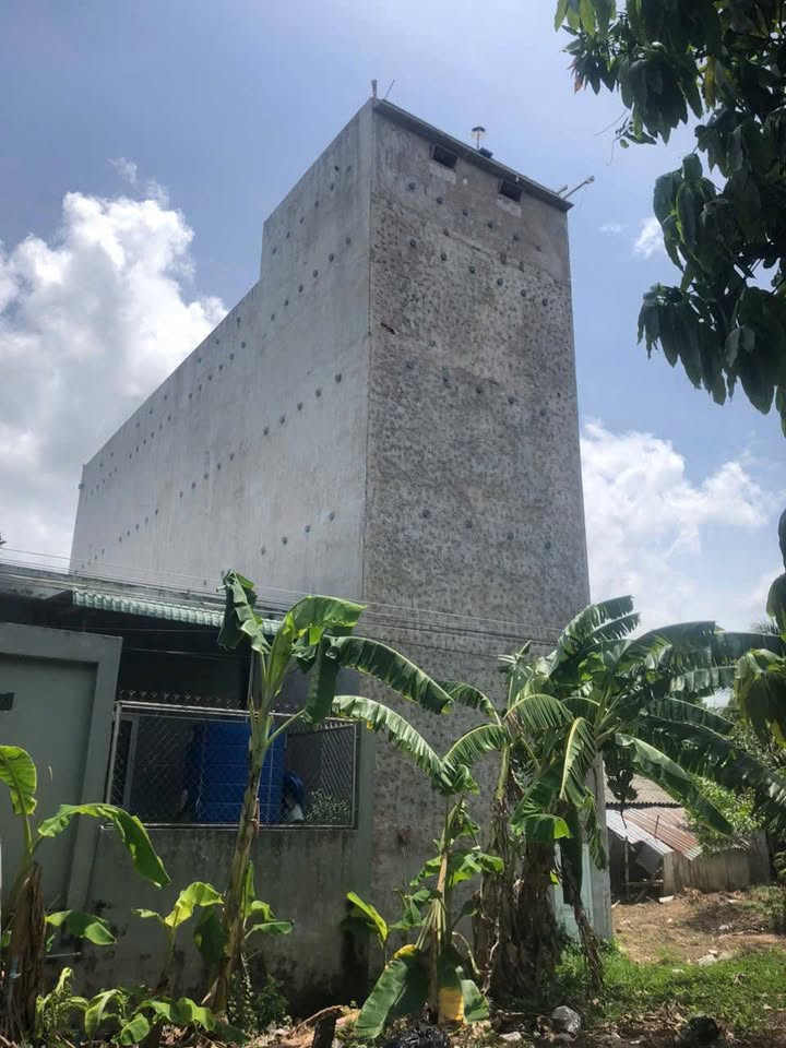 Đất nền mặt tiền Đê bao Phú Hữu - Mỹ Thanh 1000m² giá 2.2 tỷ - Sẵn sàng đầu tư!