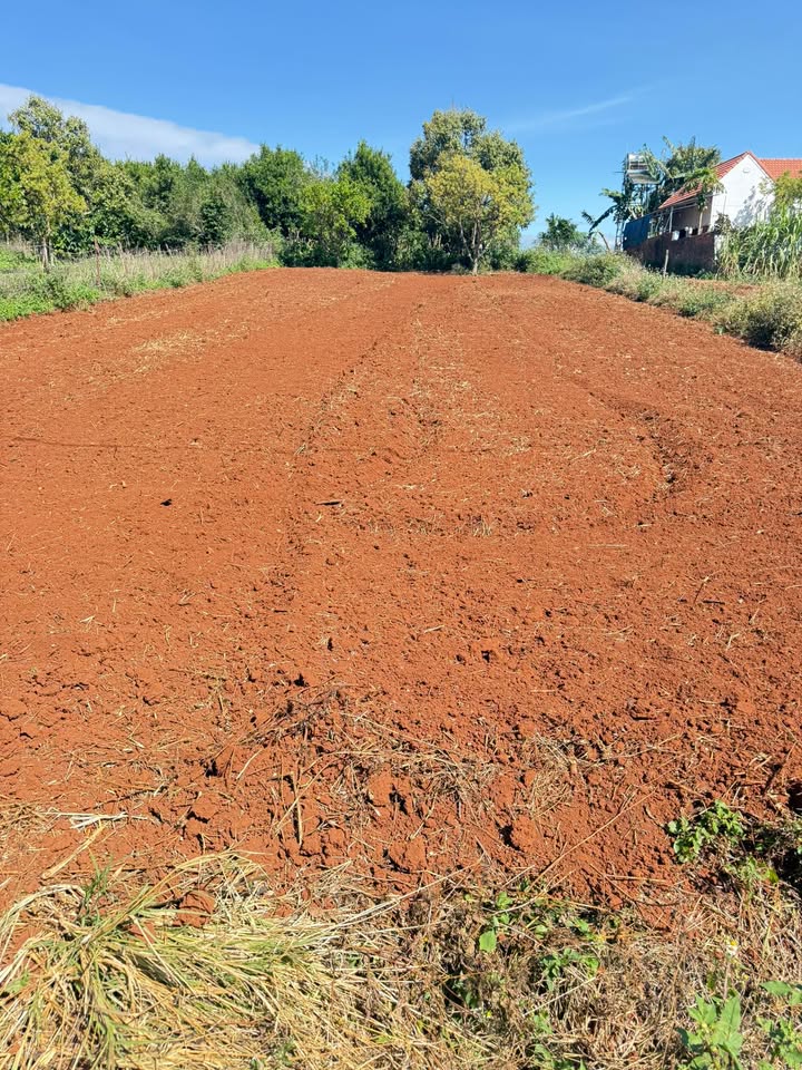 Đất nền Thị trấn Đinh Văn, Huyện Lâm Hà, 1000m² giá 1 tỷ - Cơ hội đầu tư tuyệt vời!