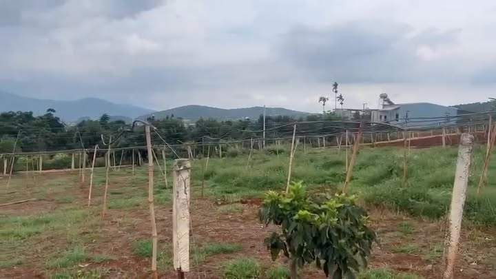 Đất nền 516m² xã Nam Hà, Lâm Hà chỉ 1.29 tỷ - Cơ hội đầu tư tuyệt vời!