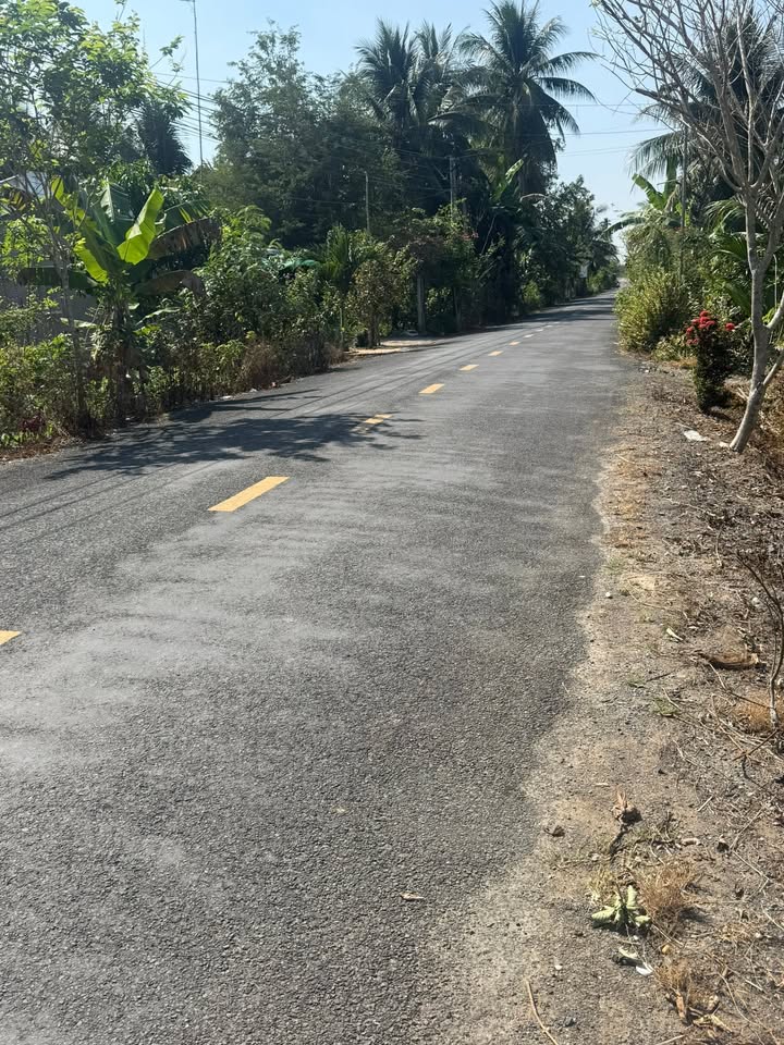 Đất nền mặt tiền lộ nhựa 800m² giá 800 triệu - Chính chủ cần bán gấp!