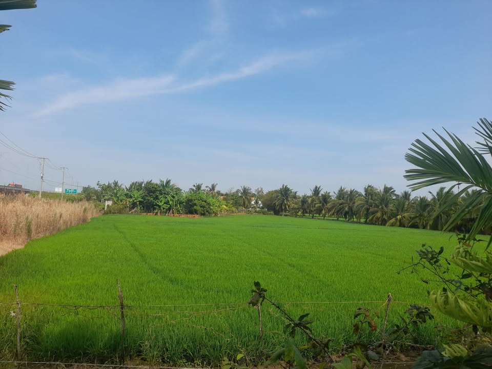 Đất nông nghiệp 3000m² mặt tiền Lộ Xuyên Á - Giá 3.6 tỷ, thương lượng tốt!