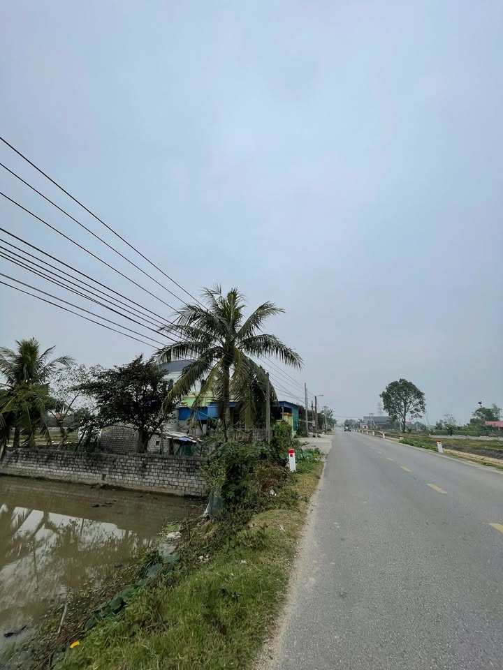 Đất nền 140m² xã Quảng Yên - Kinh doanh thuận lợi, giá chỉ 1 tỷ!