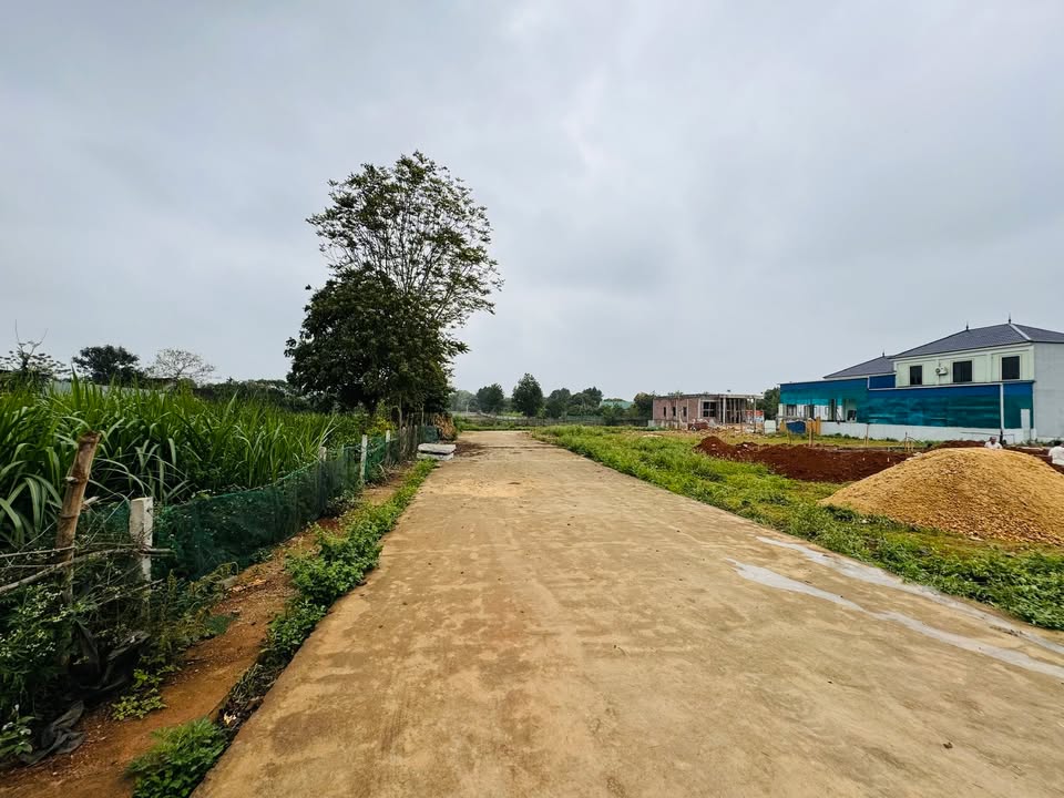 Đất nền 175m² tại Xã Quang Tiến, Huyện Sóc Sơn - Giá chỉ từ 9xx triệu!