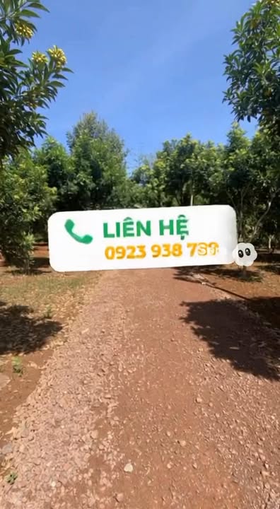 Đất nền phường Bình Lộc, Long Khánh, 95m² giá 879 triệu - Sổ riêng, xây dựng tự do!