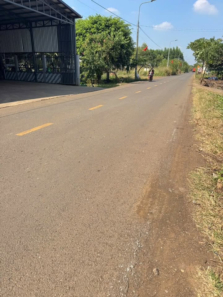 Đất nền 150m² mặt tiền đường Cọ Dầu - Xuân Đông chỉ 600 triệu - Sổ hồng riêng