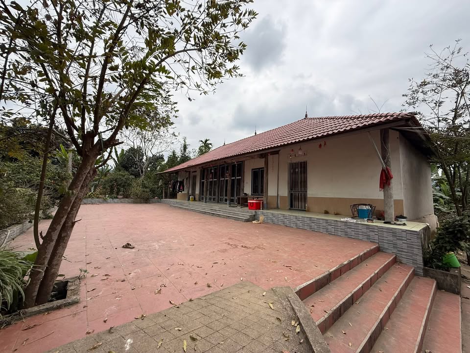 Đất nông nghiệp 7000m² tại xã Sơn Hải, Lào Cai - Cơ hội đầu tư hấp dẫn!