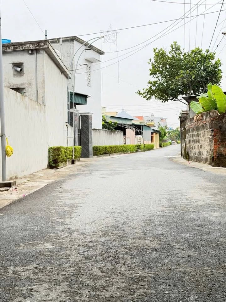 Đất nền Thôn Bắc - Xã Tây Giang, Tiền Hải, 168.5m² giá 1.5 tỷ - Sổ đỏ chính chủ