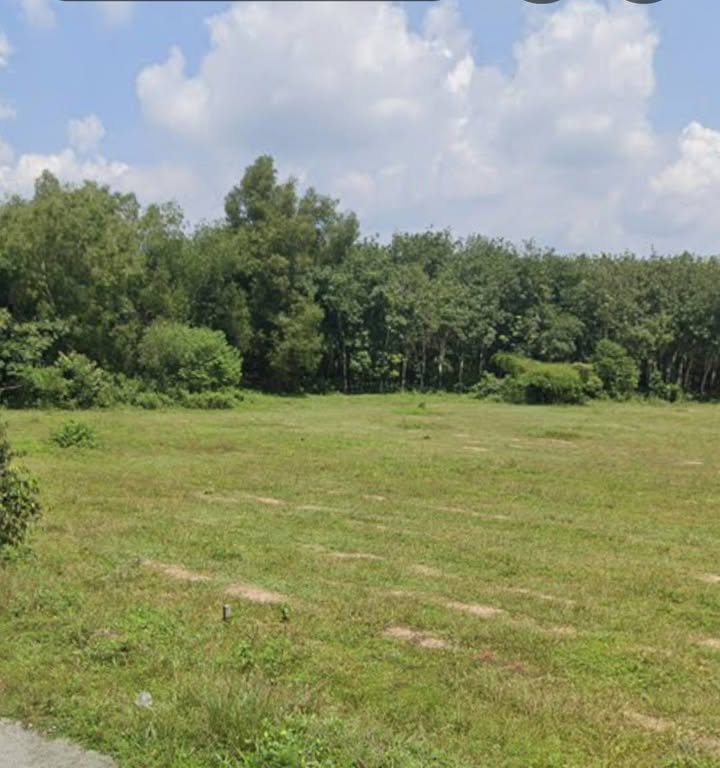 Đất công nghiệp 1,7 ha Phước Hòa, Phú Giáo - Cơ hội đầu tư tuyệt vời!