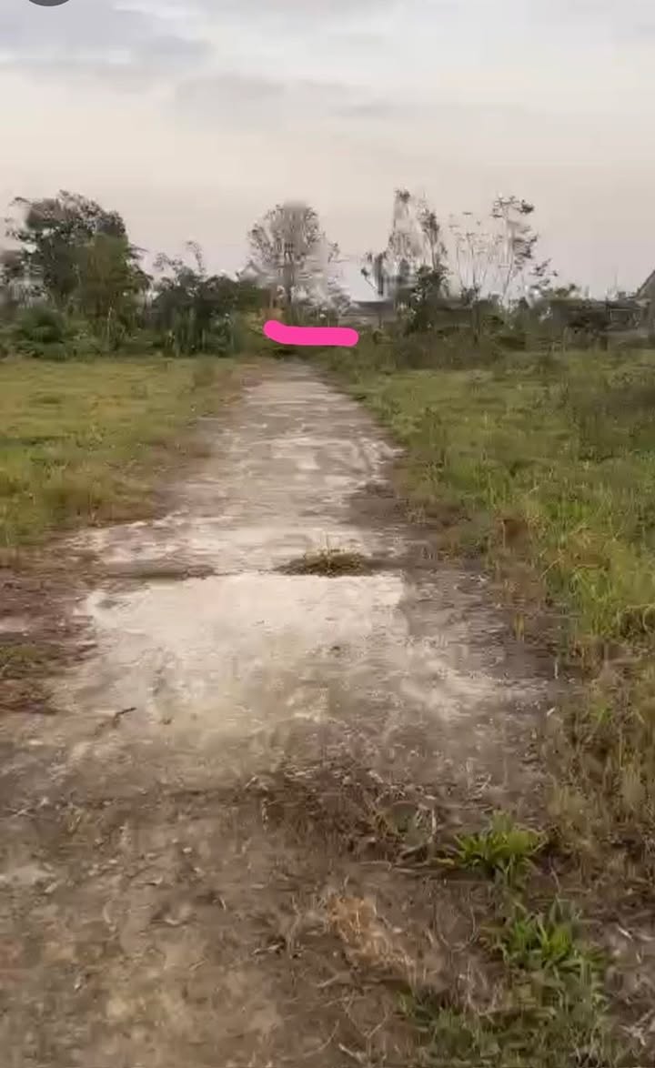 Đất nền tổ dân phố Tây Long, Thiên Cầm 152m² giá 399 triệu - Đầu tư sinh lời ngay!