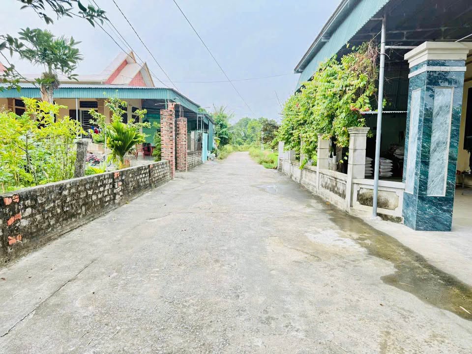 Lô đất đẹp tại Quảng Ngọc, Thanh Hóa 137m² - Tiềm năng đầu tư cao!