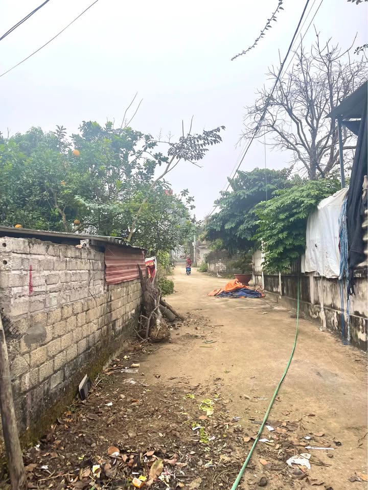 Đất nền Ngọc Sơn, Hiệp Hòa, Bắc Giang 200m² giá 1.4 tỷ - Đầu tư sinh lời ngay!