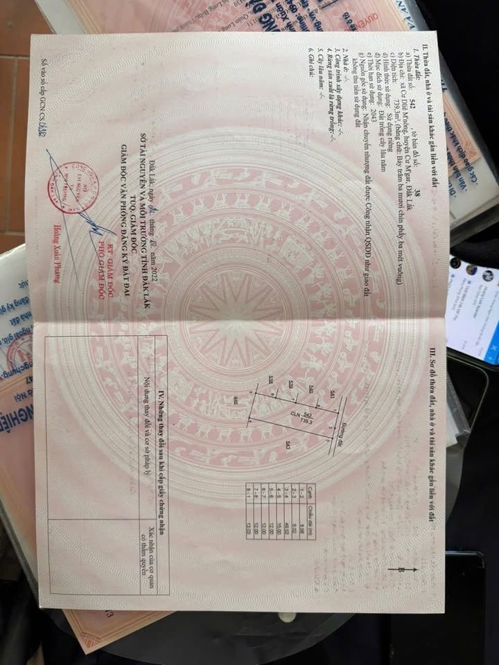 Đất nông nghiệp Thôn 8, Xã Cư Dliê M'nông 735m² giá chỉ 220 triệu - Pháp lý rõ ràng, sổ đỏ sẵn