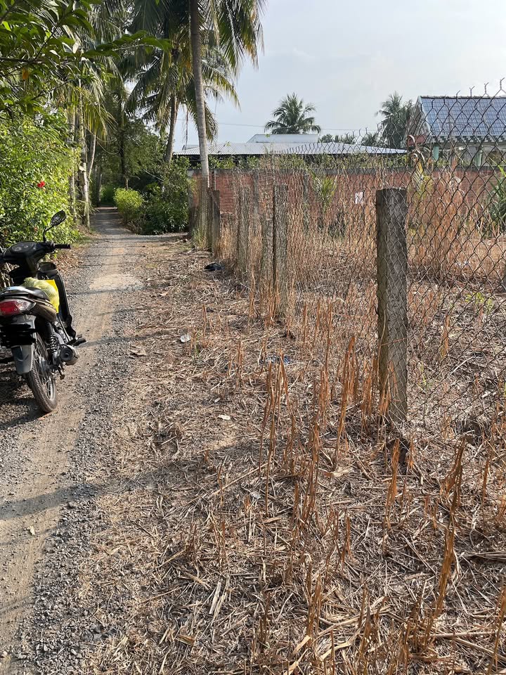 Đất nền thổ cư 140m² tại ấp Phú Mỹ, Cai Lậy - Giá chỉ 380 triệu