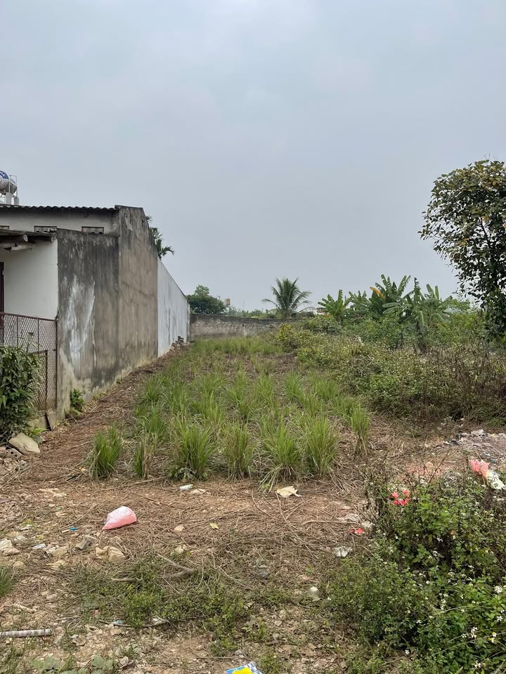 Đất nền Hồng Kỳ, Sóc Sơn 115m² giá thỏa thuận - Sổ đỏ chính chủ sẵn sàng sang tên!