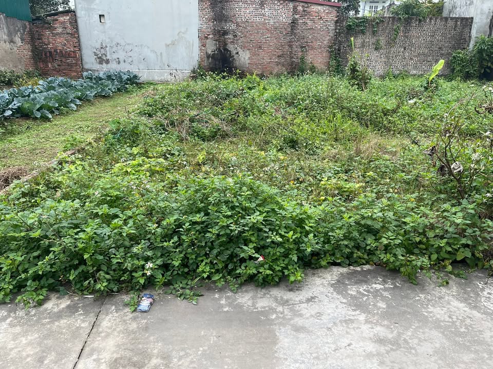 Đất nền Hương Đình, Mai Đình, Sóc Sơn 63m² giá 2 tỷ - Đầu tư sinh lời ngay!