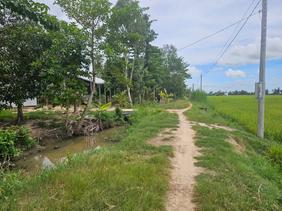 Đất nền mặt tiền lộ đá xanh 9246m² giá chỉ 55 triệu - Cơ hội đầu tư hiếm có!