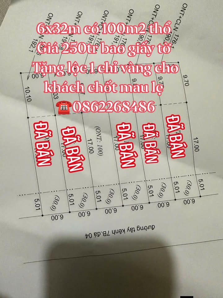 Đất nền 100m² tại Ấp Mỹ Lợi, Đồng Tháp - Giá chỉ 250 triệu, đầu tư sinh lời!