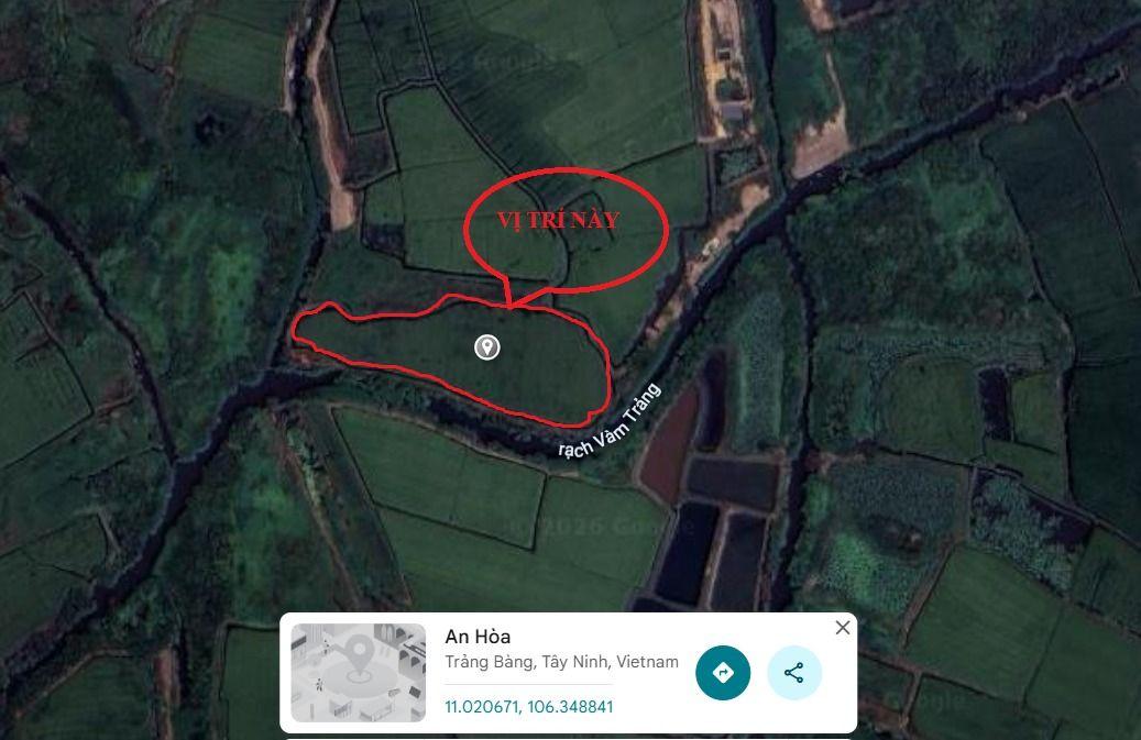 Đất ruộng 10.000m² tại Kp Hòa Phú, Trảng Bàng, Tây Ninh - Cơ hội đầu tư tốt!