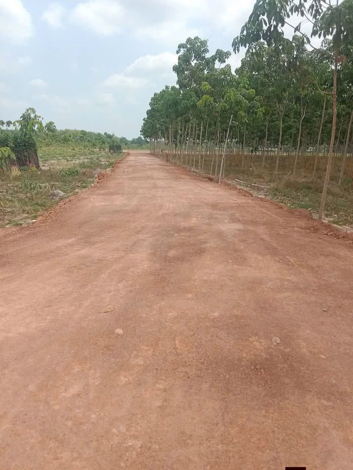 Đất nền xã Tân Phú, huyện Tân Châu, 20,000m² giá chỉ 1.08 tỷ - Cơ hội vàng đầu tư!