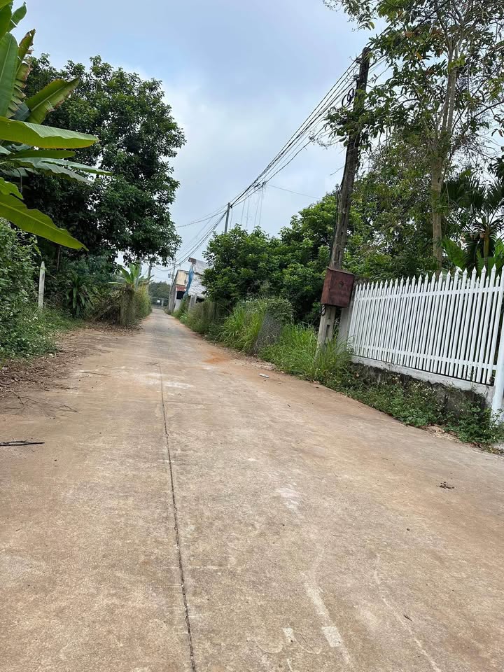 Đất 500m² Khu Phố 1 Bình Lộc giá 1.7 tỷ - Pháp lý rõ ràng, vị trí đắc địa!