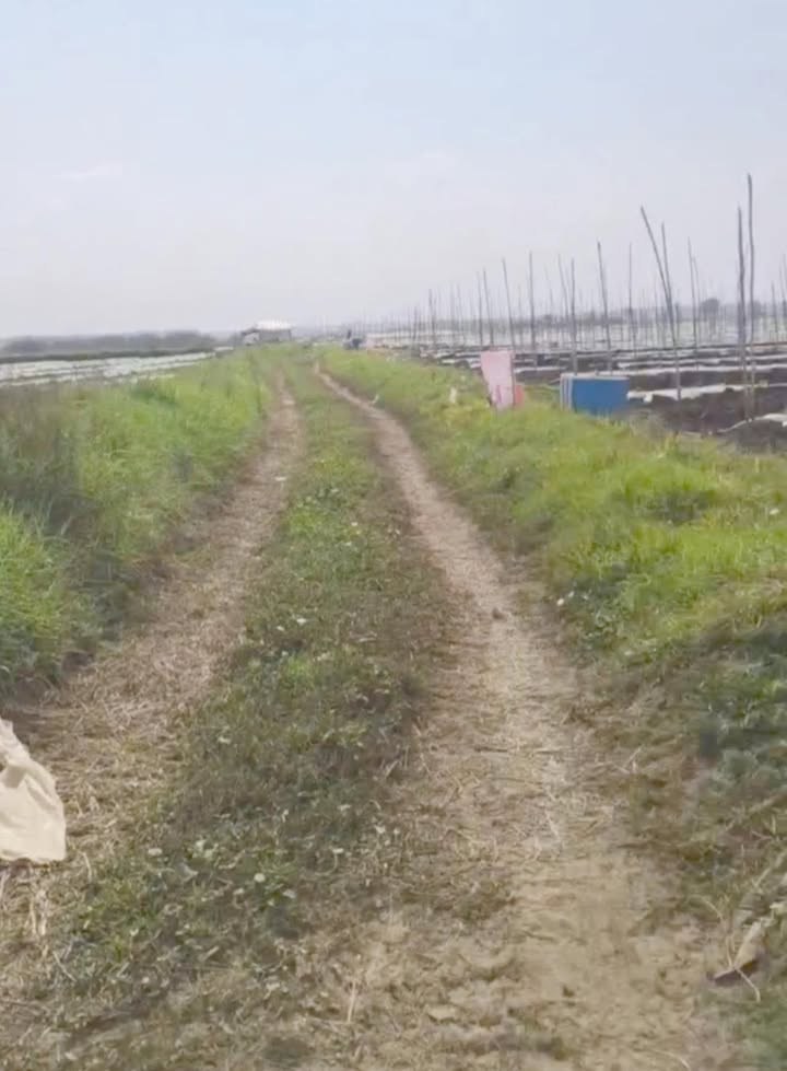 Đất nền 8,5 công tại xã Tân Biên, Tây Ninh - Giá chỉ 550 triệu!