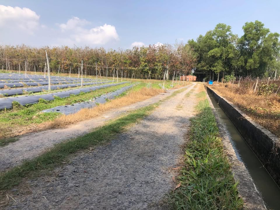 Đất thổ cư Phường Ninh Sơn 520m² giá 20.28 tỷ - View nghỉ dưỡng lý tưởng!