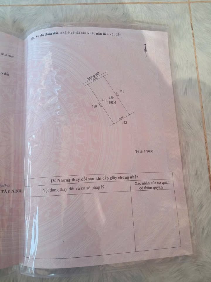 Đất nền 2.6 công tại Ấp Xóm Khách, Tây Ninh giá 420 triệu - Bán gấp!