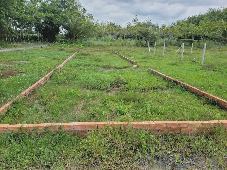 Đất nền tại xã Bàu Năng, huyện Dương Minh Châu, 114,4m² giá 480 triệu - Cơ hội đầu tư hấp dẫn!