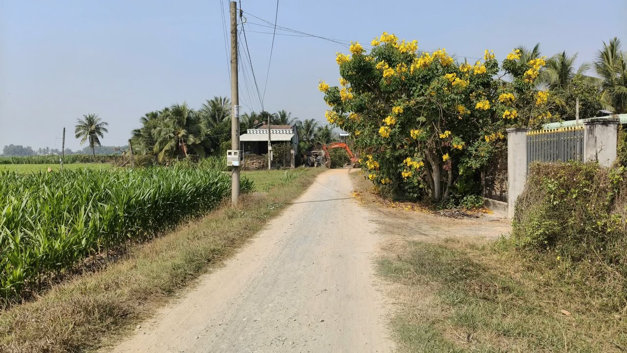 Đất nền Ấp Bàu Tép, Xã Tiên Thuận, 2100m² giá 2.1 tỷ - Đầu tư sinh lời hấp dẫn!