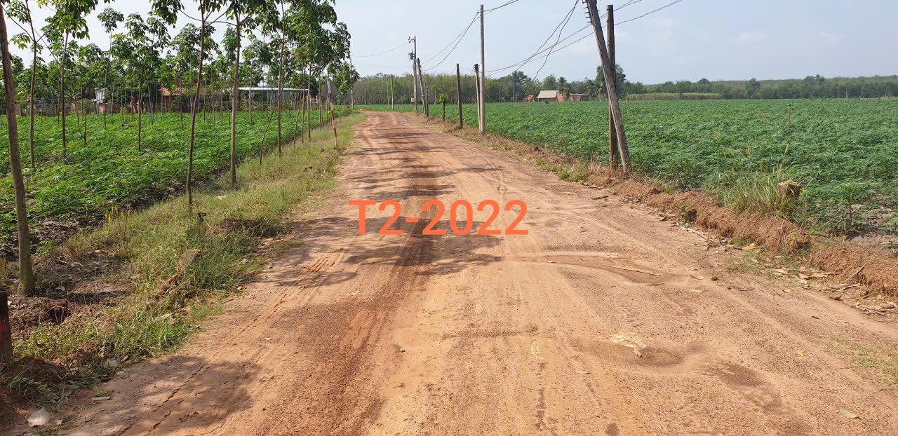 Đất nông nghiệp 1,6ha Tân Phong, Tân Biên giá 16 tỷ - Cơ hội đầu tư hấp dẫn!