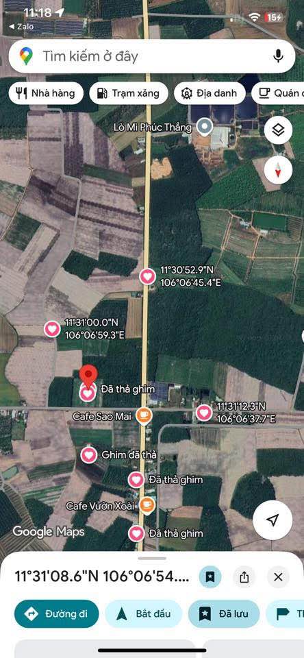 Đất nền 1.6ha mặt tiền đường nhựa Tân Phú, Tây Ninh - Cơ hội đầu tư lý tưởng!