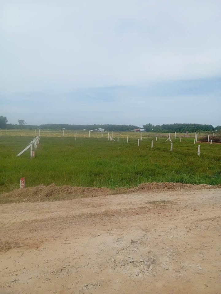 Đất nền Dương Minh Châu 150m² giá 385 triệu - Sổ đỏ chính chủ, giao ngay!