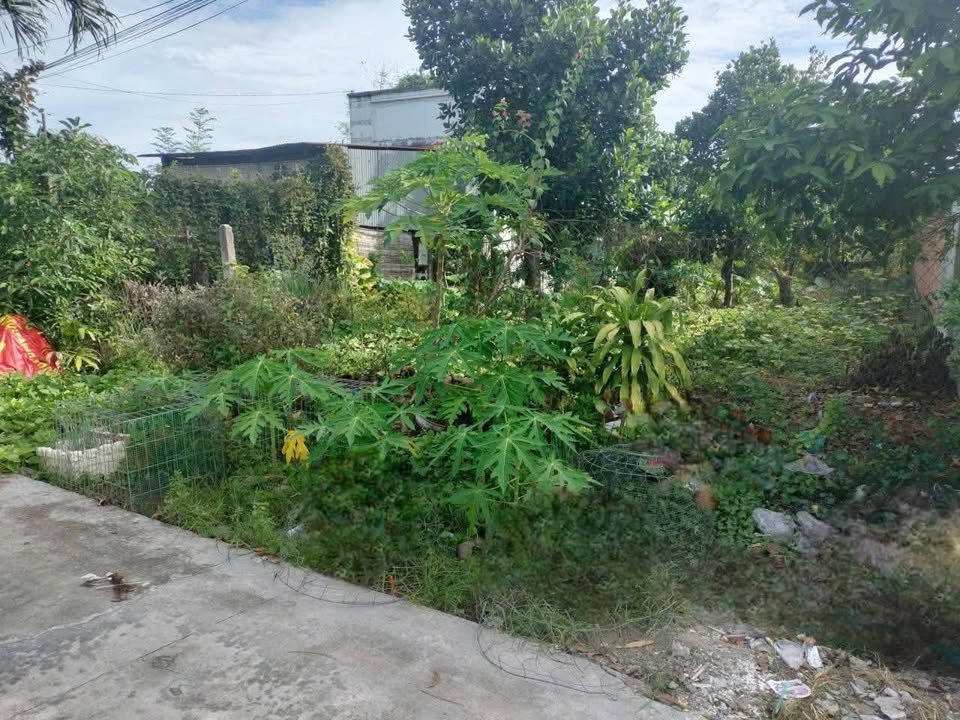 Đất thổ cư 280m² tại Đường Bời Lời, Phường Ninh Sơn - Giá chỉ 532 triệu